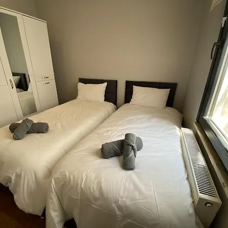 Downown Luxury Apartment